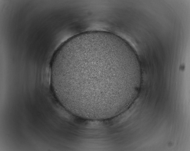 X0000103931219200809261656