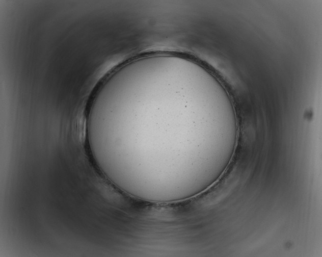 X0000103931221200809261656