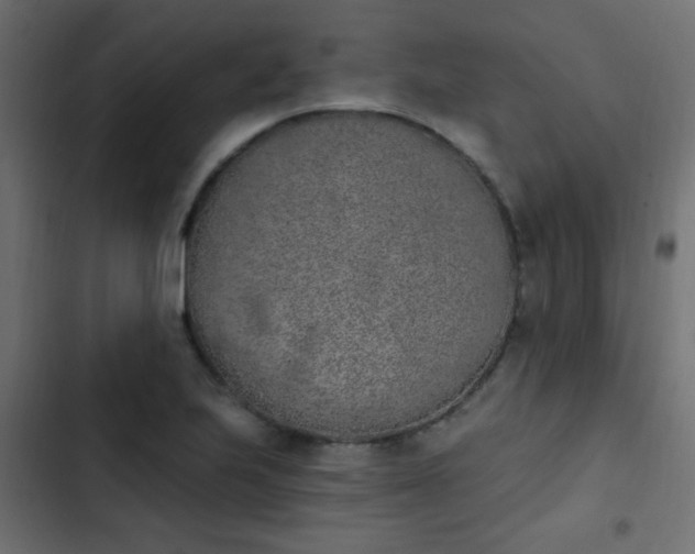 X0000103931223200809261656