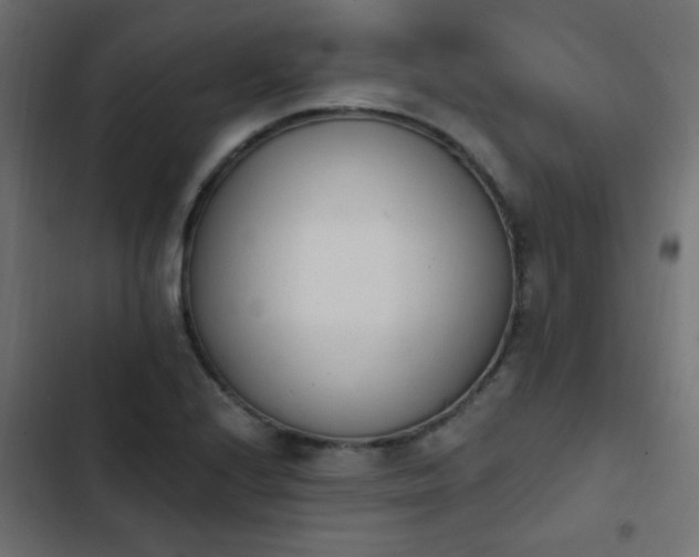 X0000103931224200809261656