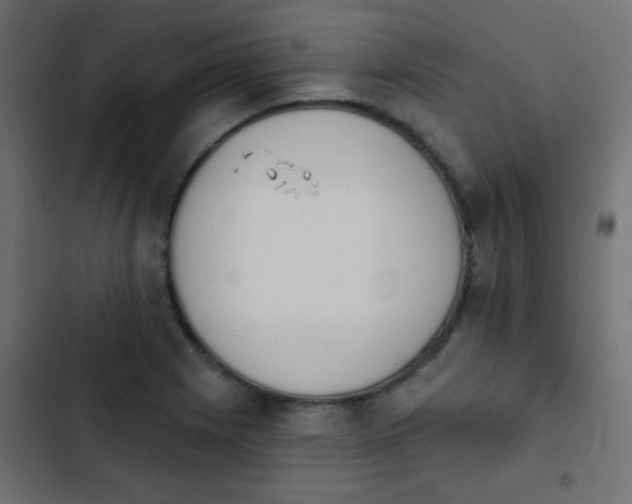 X0000103931225200809261656