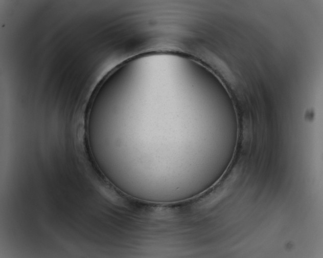 X0000103931226200809261656