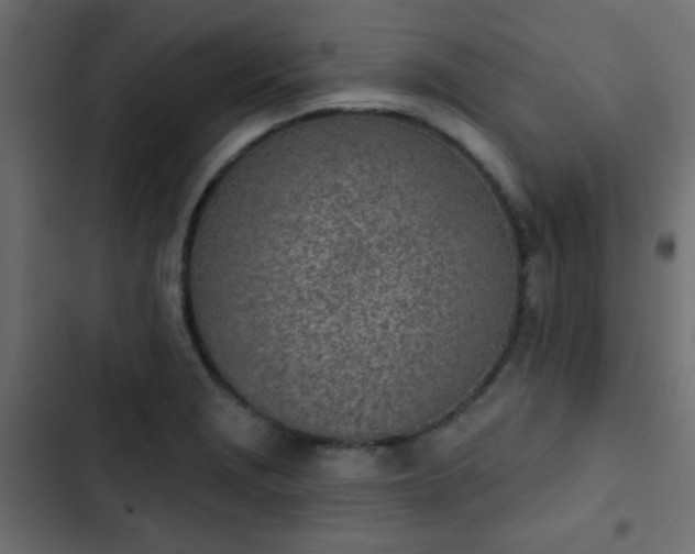 X0000103931229200809261656