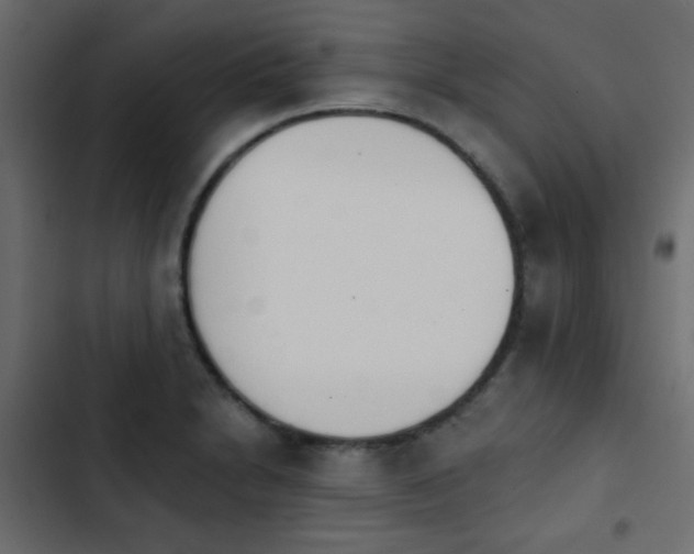X0000103931230200809261656