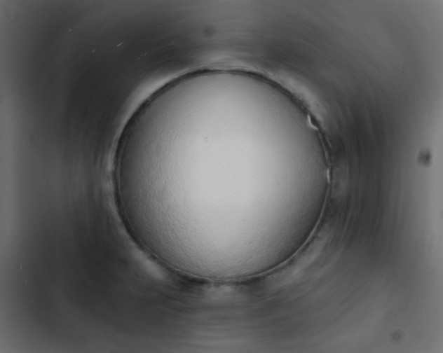 X0000103931231200809261656