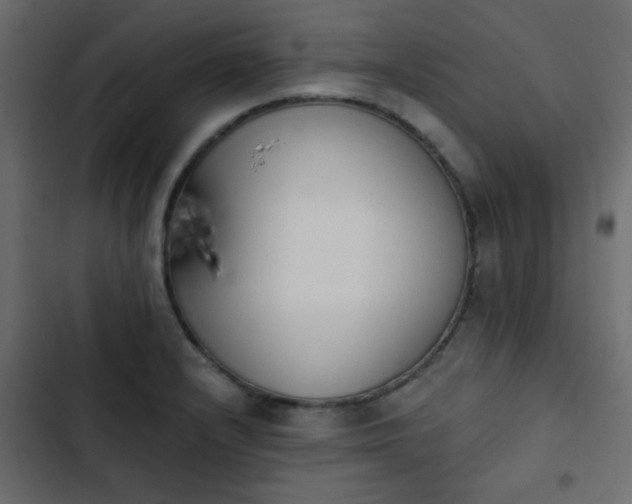 X0000103931232200809261656