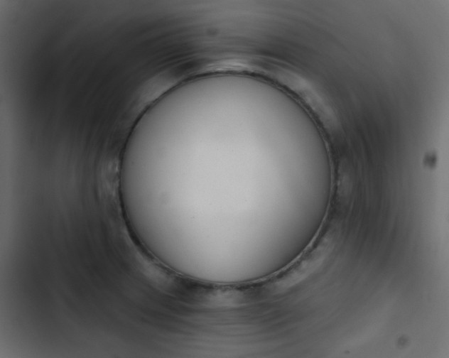 X0000103931233200809261656