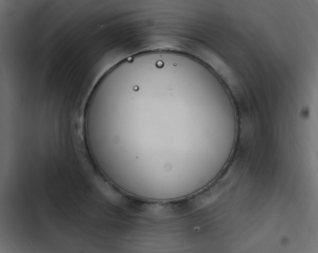X0000103931234200809261656