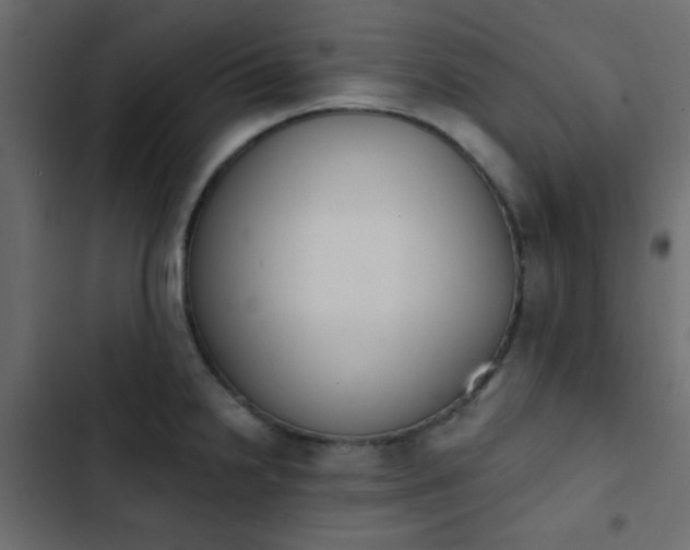 X0000103931238200809261657