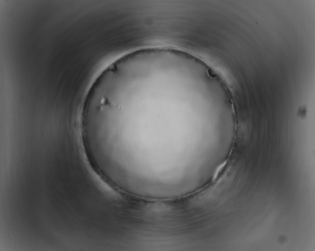 X0000103931239200809261657