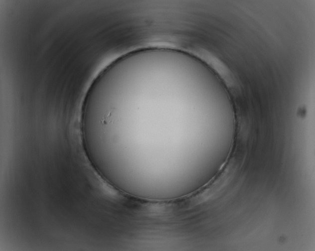 X0000103931240200809261657