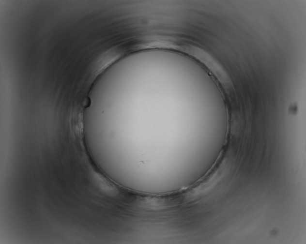 X0000103931241200809261657