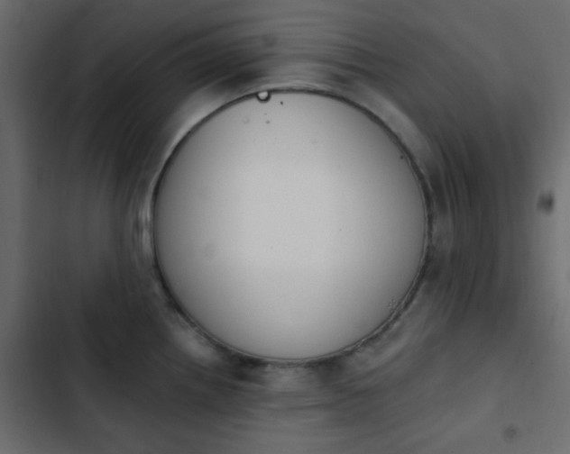 X0000103931242200809261657