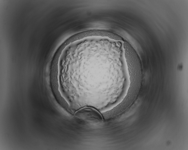X0000103931243200809261657