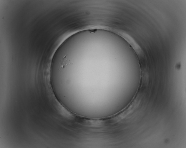 X0000103931244200809261657