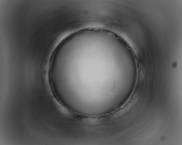 X0000103931245200809261657