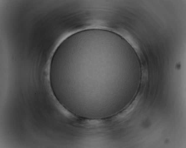 X0000103931246200809261657