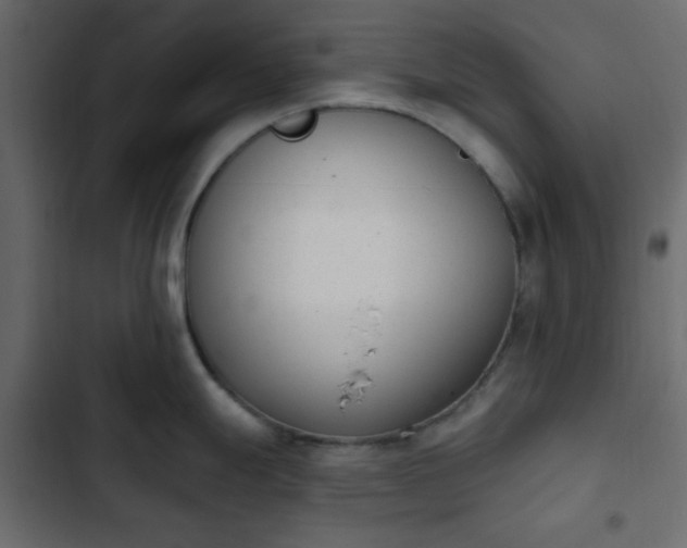 X0000103931247200809261657