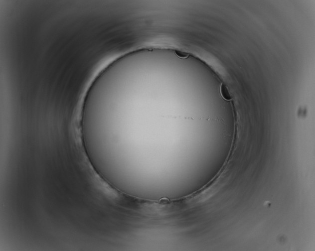 X0000103931248200809261657
