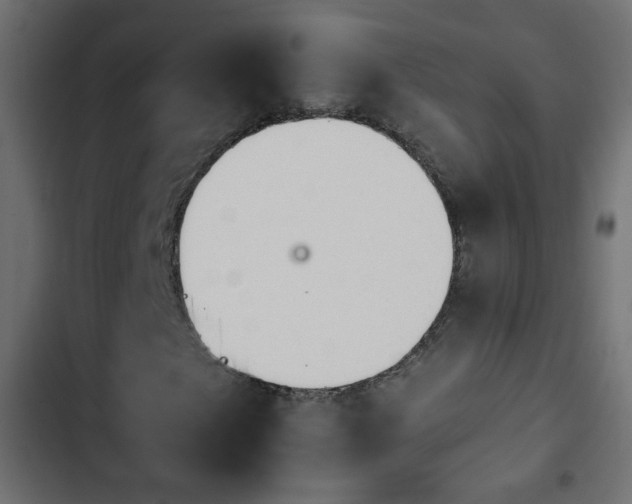 X0000103931249200809261656