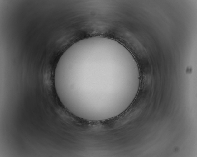 X0000103931250200809261656