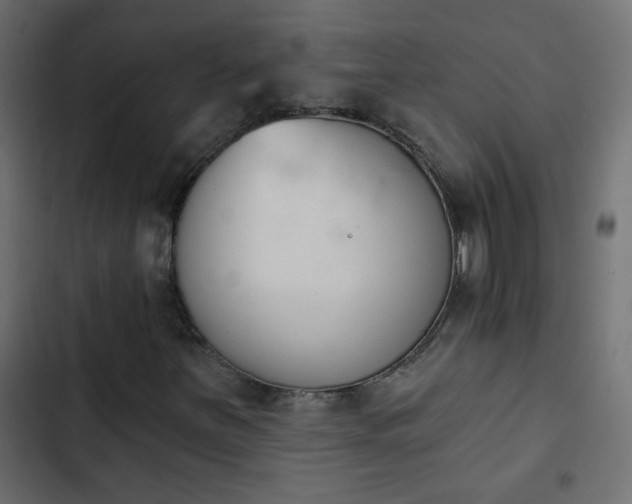 X0000103931251200809261656