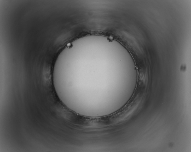 X0000103931252200809261656