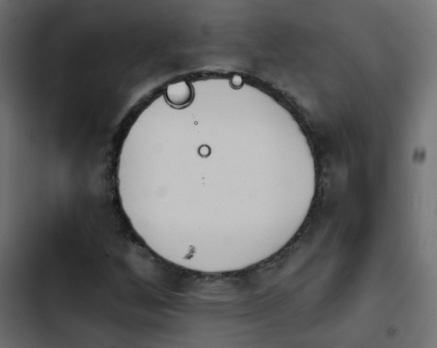 X0000103931256200809261656