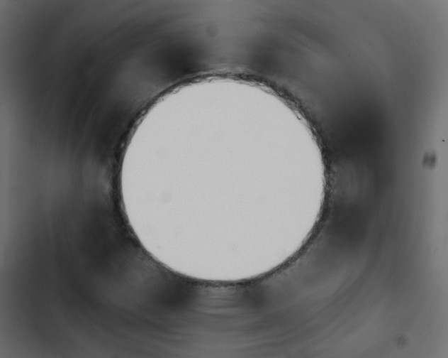 X0000103931257200809261656