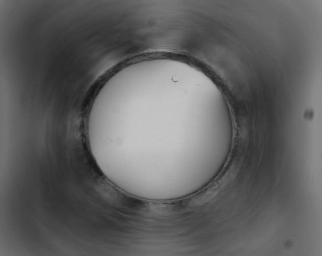 X0000103931258200809261656