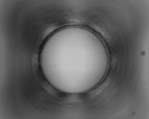 X0000103931259200809261655