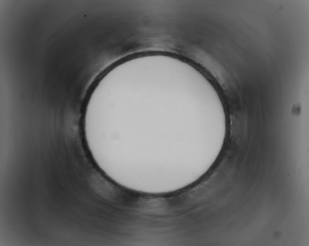 X0000103931260200809261655