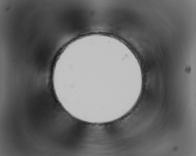 X0000103931261200809261655