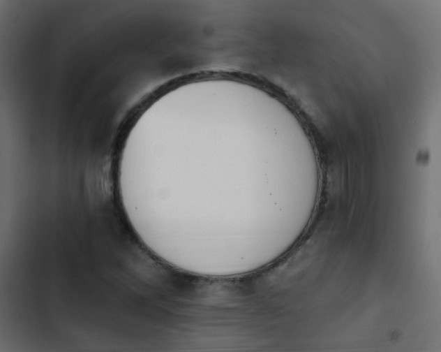 X0000103931262200809261655