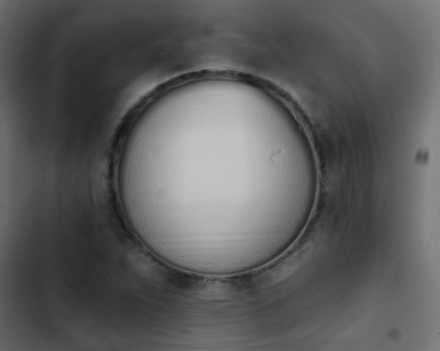 X0000103931263200809261655