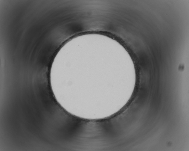 X0000103931265200809261655