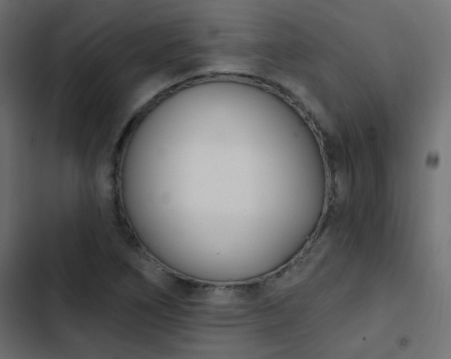 X0000103931266200809261655