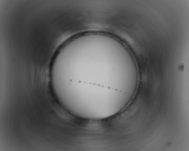 X0000103931267200809261655