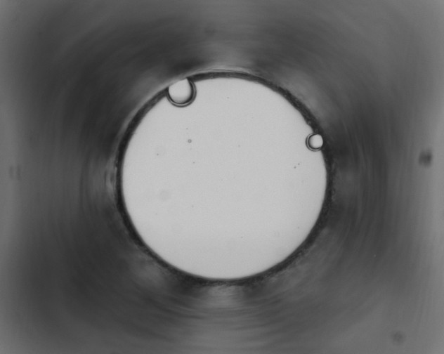 X0000103931268200809261655