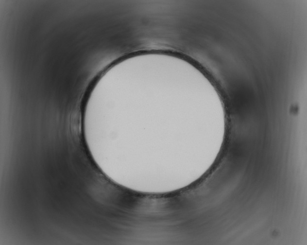 X0000103931269200809261655