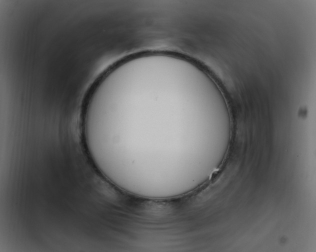 X0000103931270200809261655