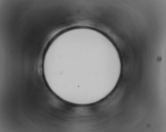 X0000103931272200809261655