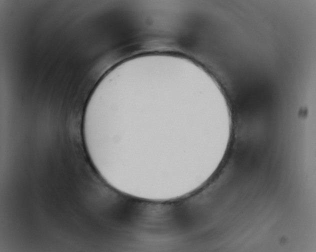 X0000103931273200809261655