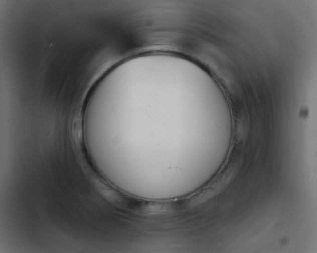 X0000103931274200809261655