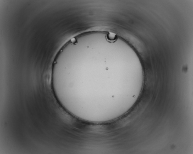 X0000103931276200809261655