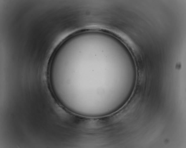 X0000103931279200809261655