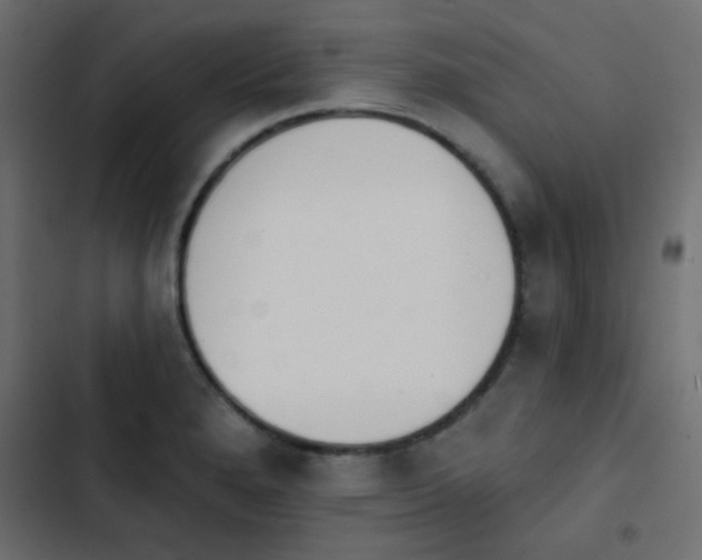 X0000103931280200809261655