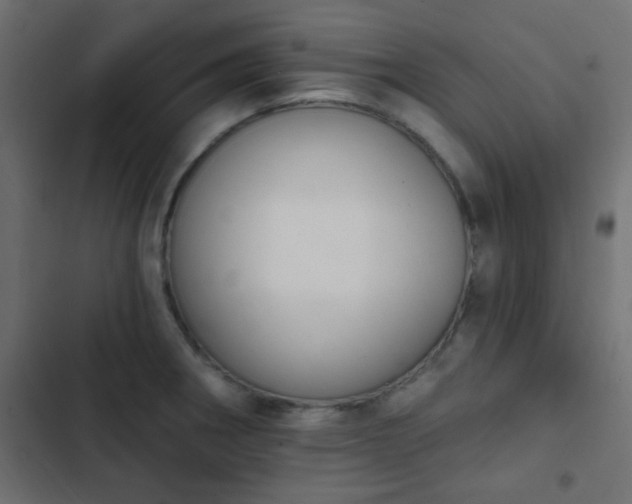 X0000103931282200809261655