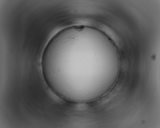 X0000103931283200809261655