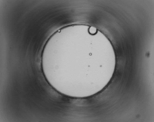 X0000103931284200809261655